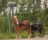 Tenori lenkillä huoltopisteen lähellä